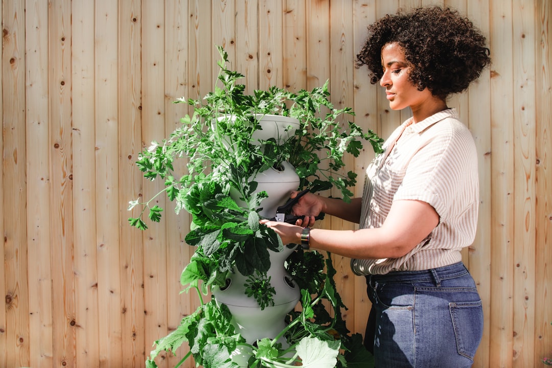 Een balkontuintje inrichten: zo maak je van elk balkon een groene plek